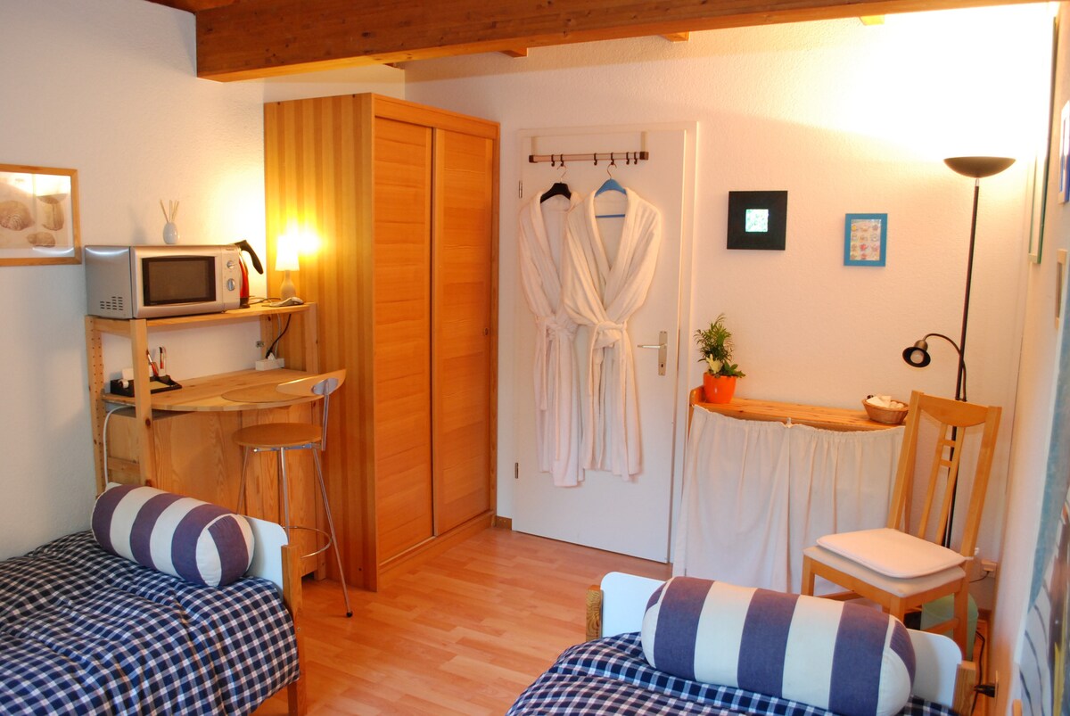 瑞士度假木屋中舒适安静的房间
