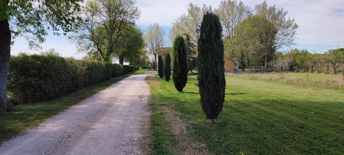 Gîte de charme privé à Arles en campagne