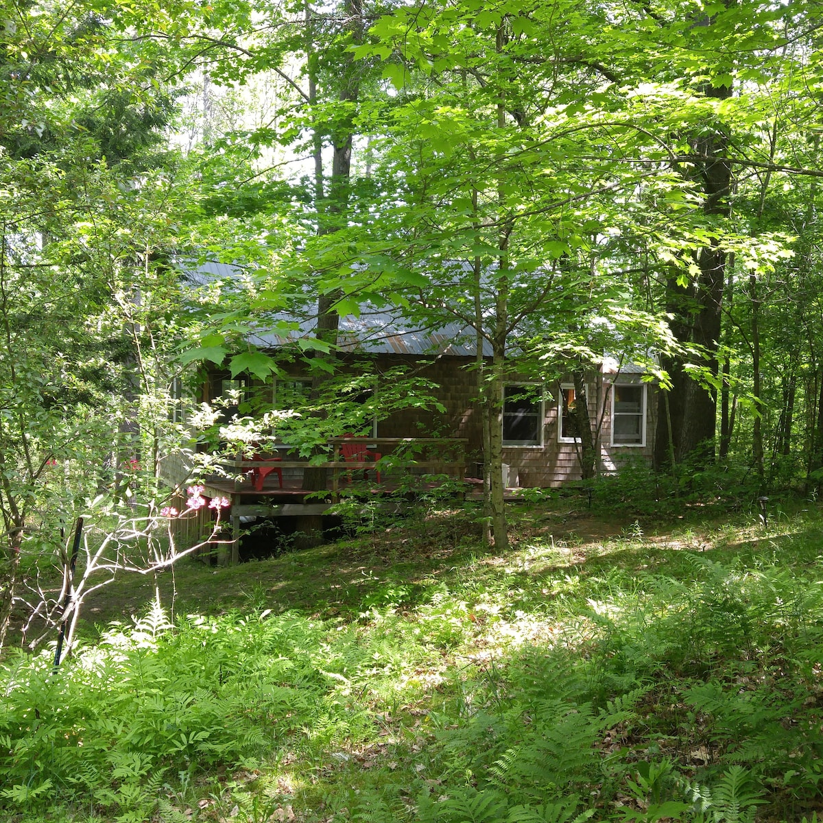 弗吉尼亚州和新罕布什尔州上谷可爱的乡村小屋