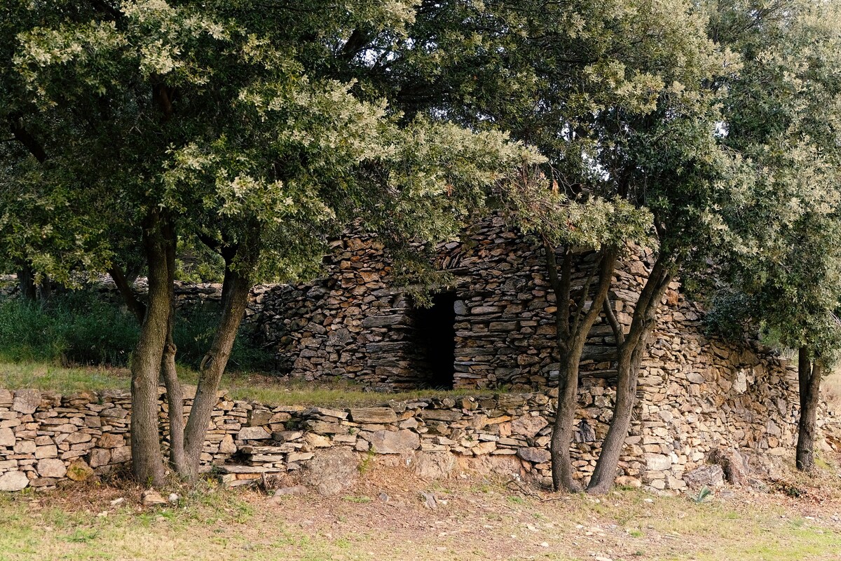 Terres et Vins, l'expérience La Maison BARDI