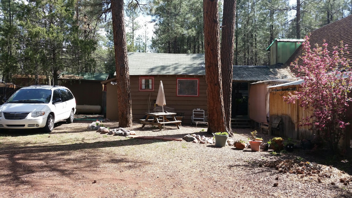 适合携带宠物入住的小型私密家具小木屋Pinetop