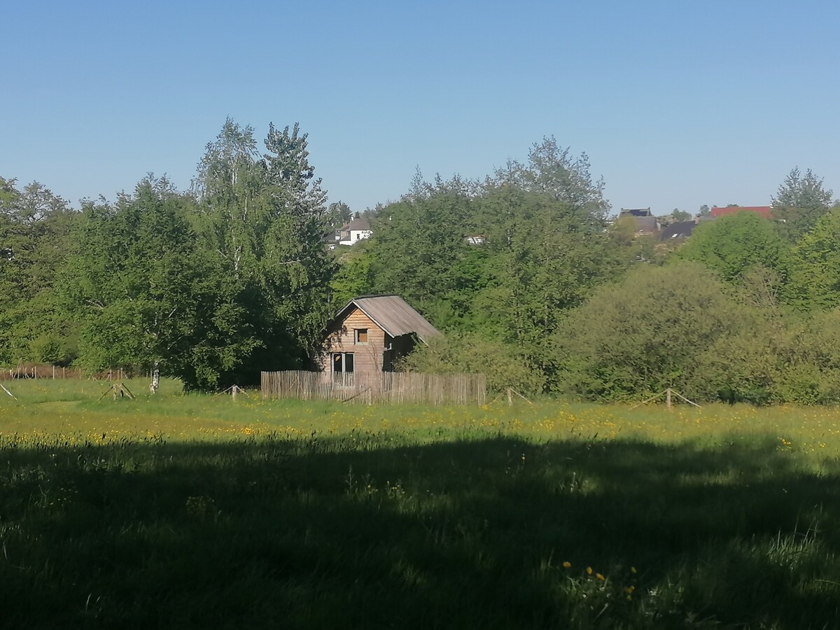 La Cabane aux Libellules