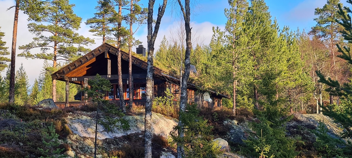 风景优美的家庭小屋