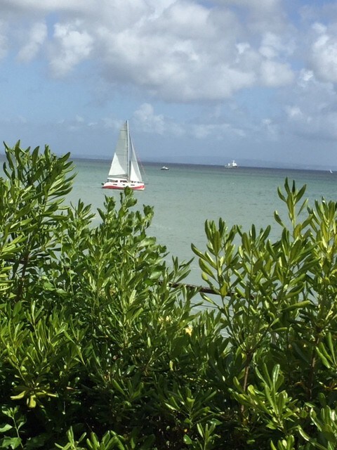 公寓，很棒的露台，壮丽的海景