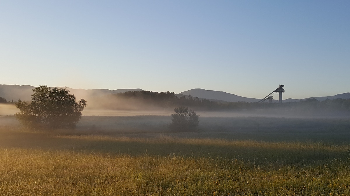 Bear Cub Lodge - An Adirondack Mountain Retreat