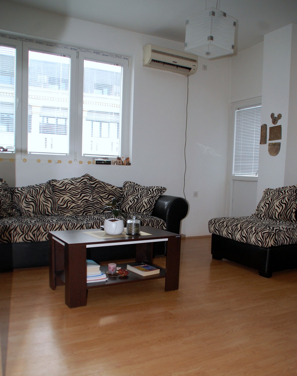 Central apartment MS