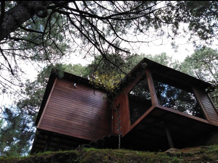 cabaña en el bosque