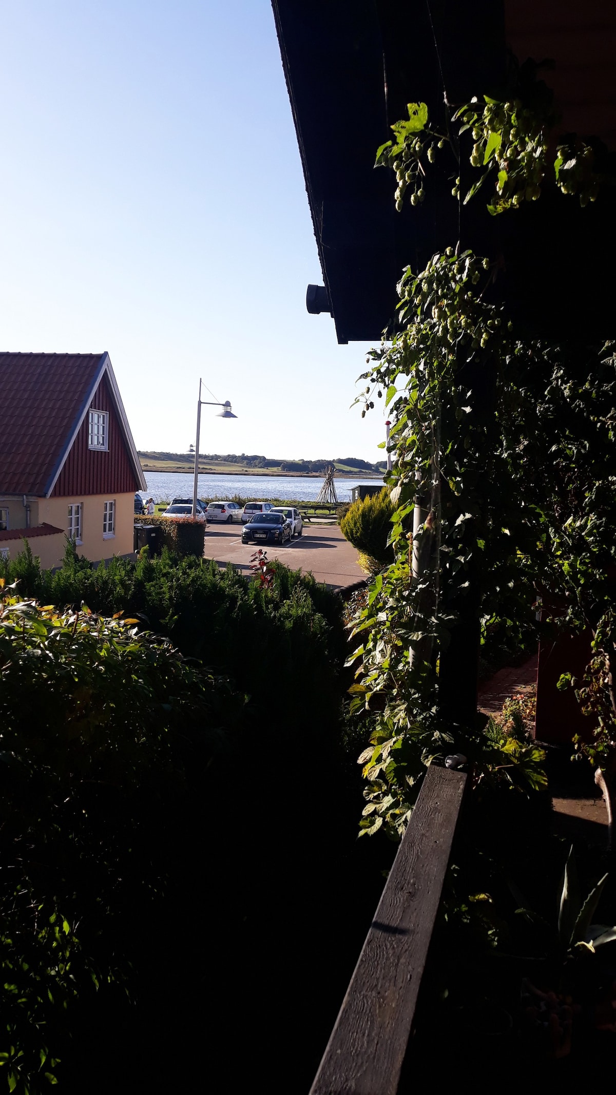 Hjarbæk峡湾老港口老城区的Idyll和温馨舒适。