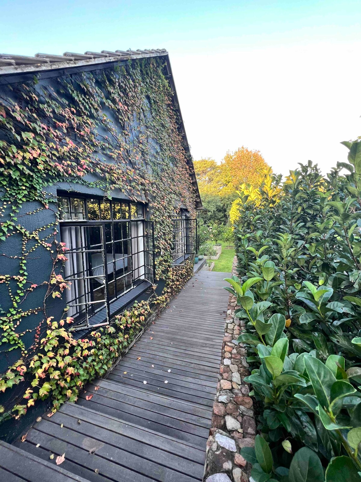 2卧室小屋，坐落在绿洲中。