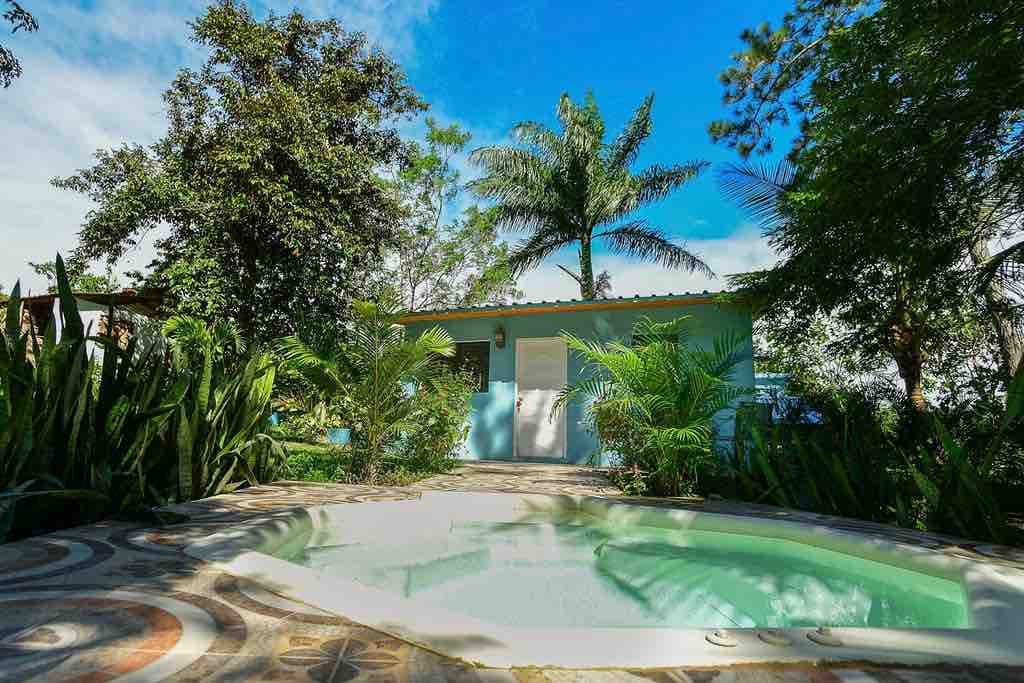 棕榈树下的房子，带泳池和停车位