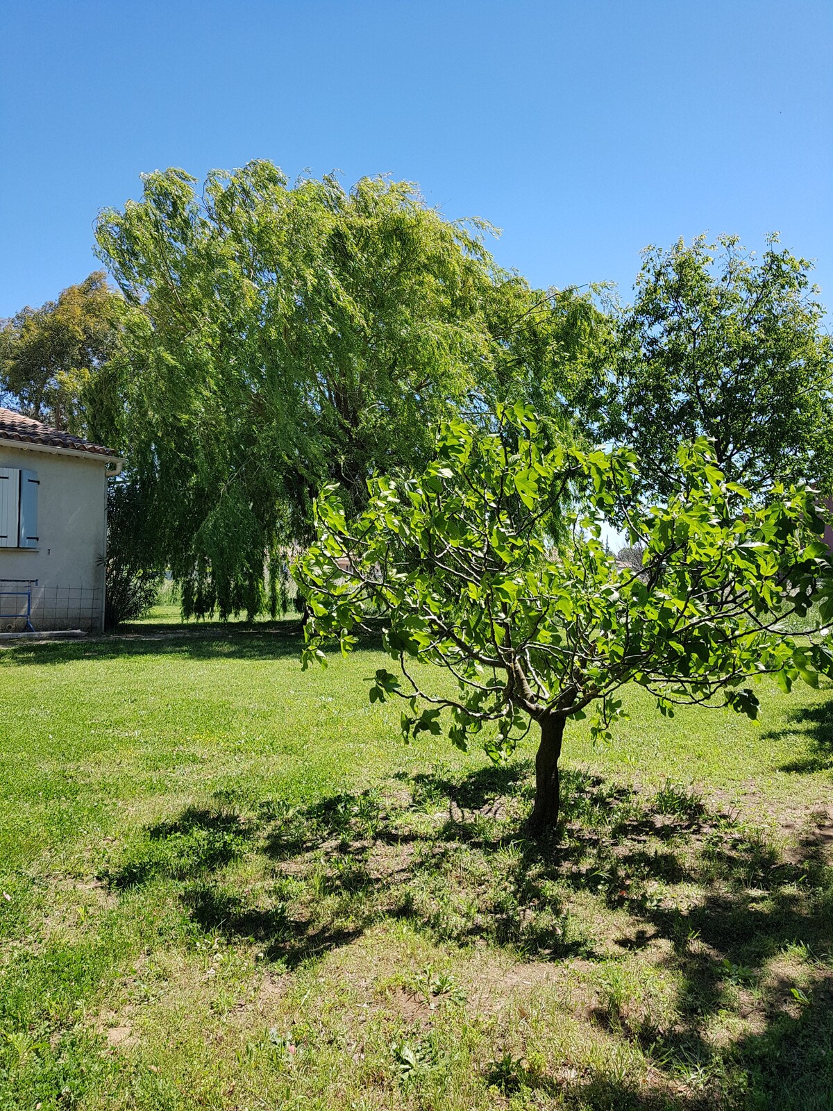 Appt dans villa, piscine et nature !  10mns d'Uzes