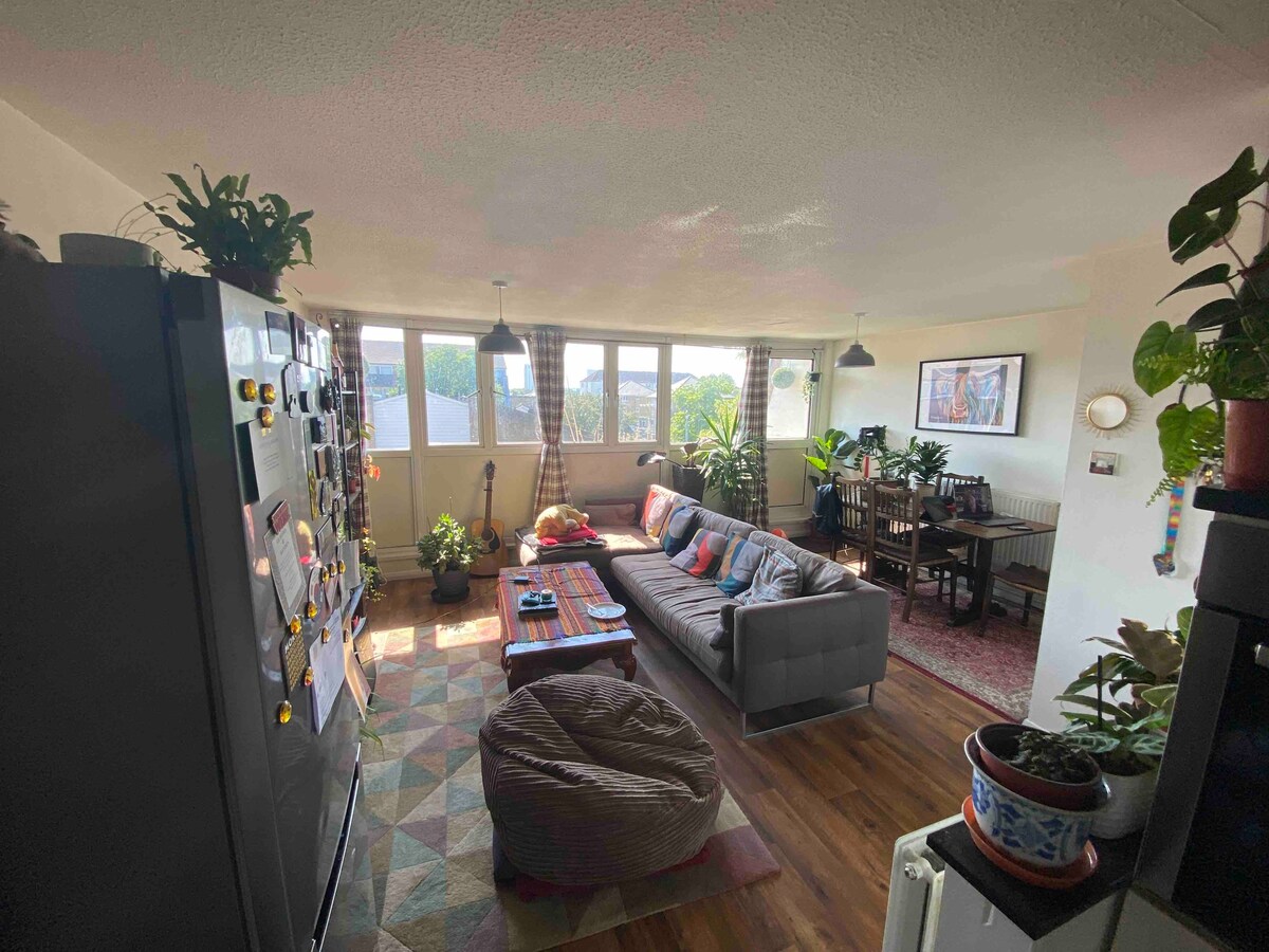 明亮、舒适、充满植物的三层公寓（带狗！ ）