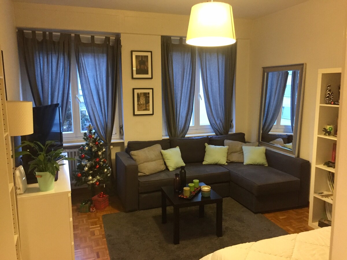 位于日内瓦市中心的舒适单间公寓！