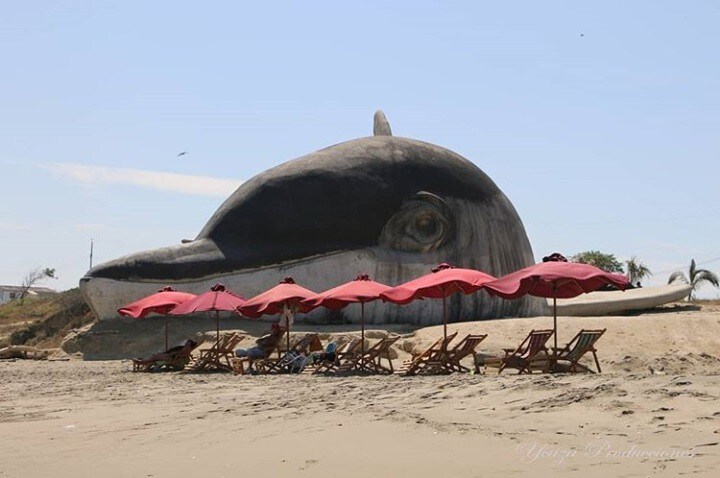 海豚巨型纪念碑海豚海滩