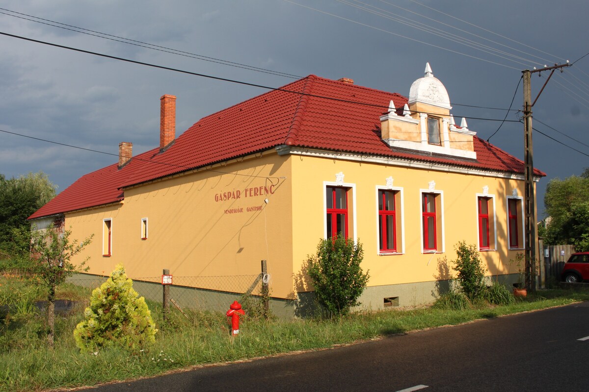 匈牙利边境4-Thermen-Land 100平方米的度假屋