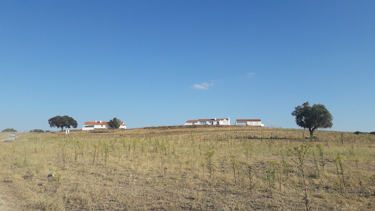 Agro-Tourism Herdade do Carneiro - Casa Grande