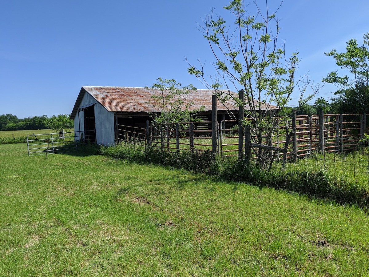 Farm house 3 bedrooms