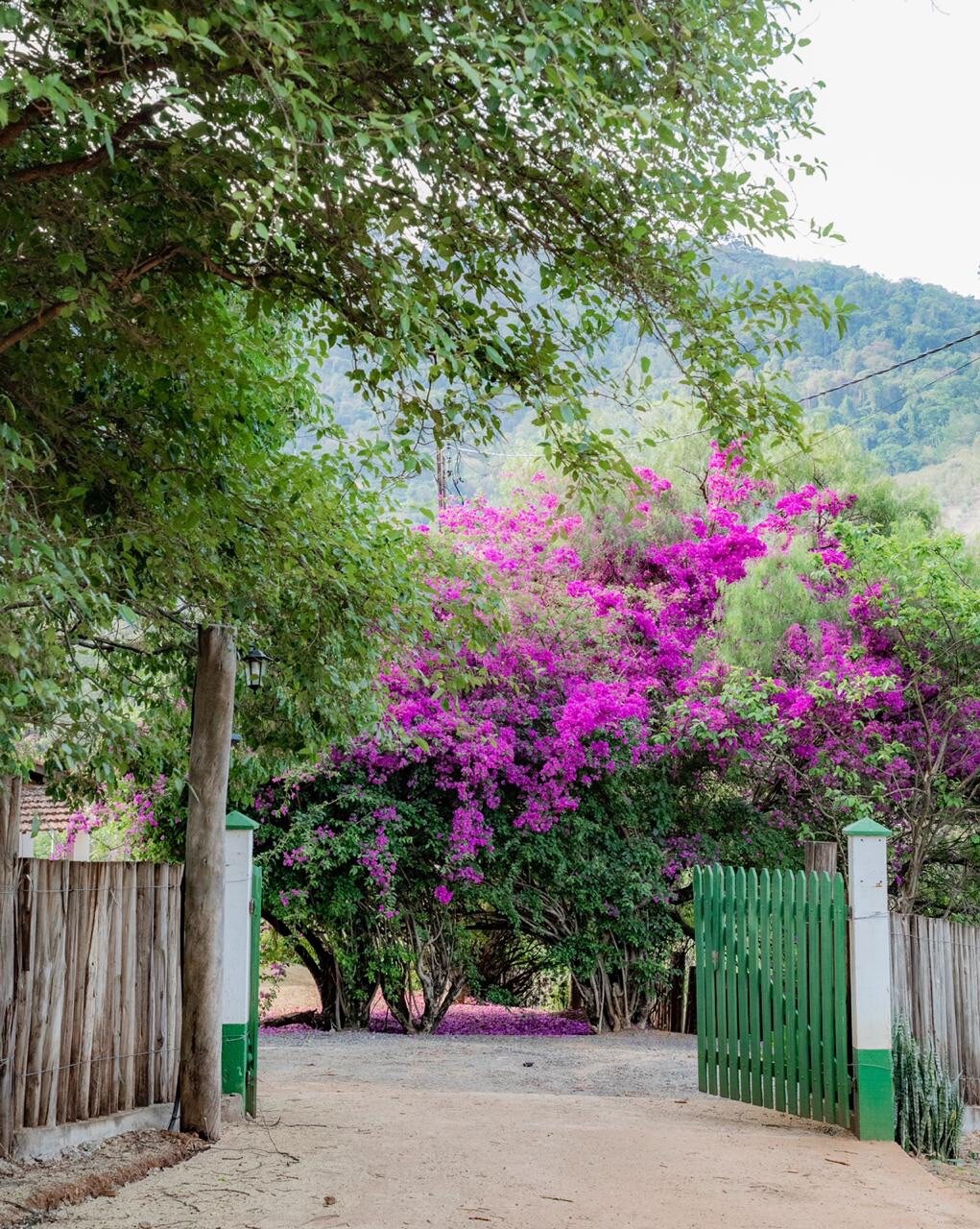 Casa Jequitibá