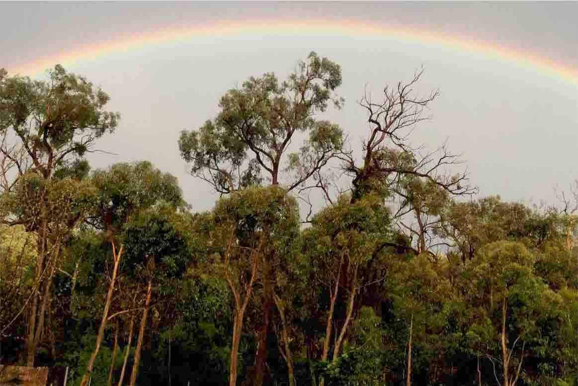 Dandenong National Range 3