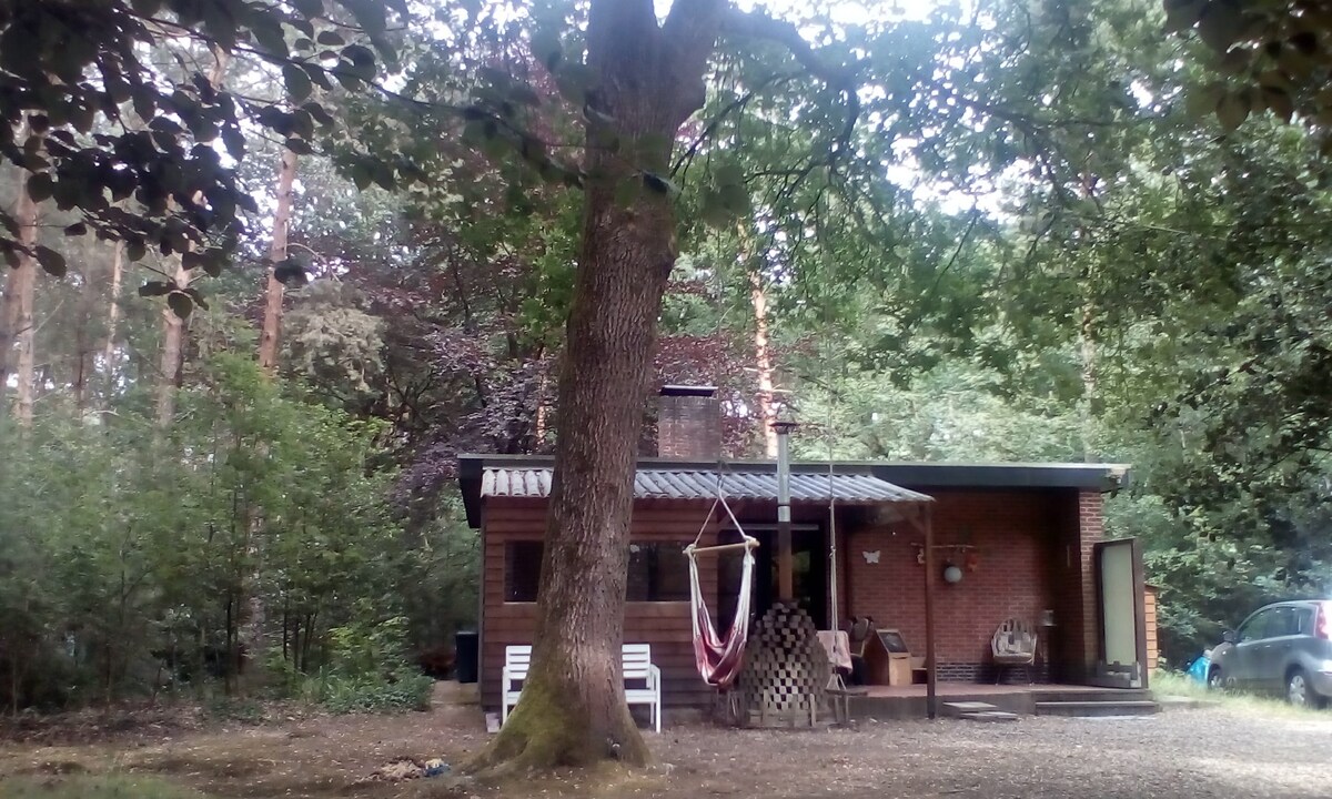 Tiny house in het bos