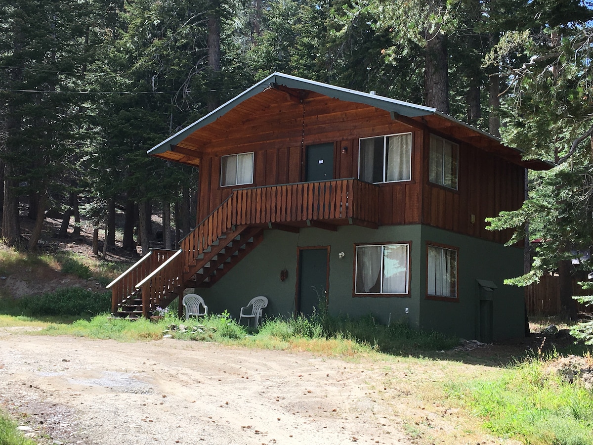 Vintage Old Mammoth Cabin # 5