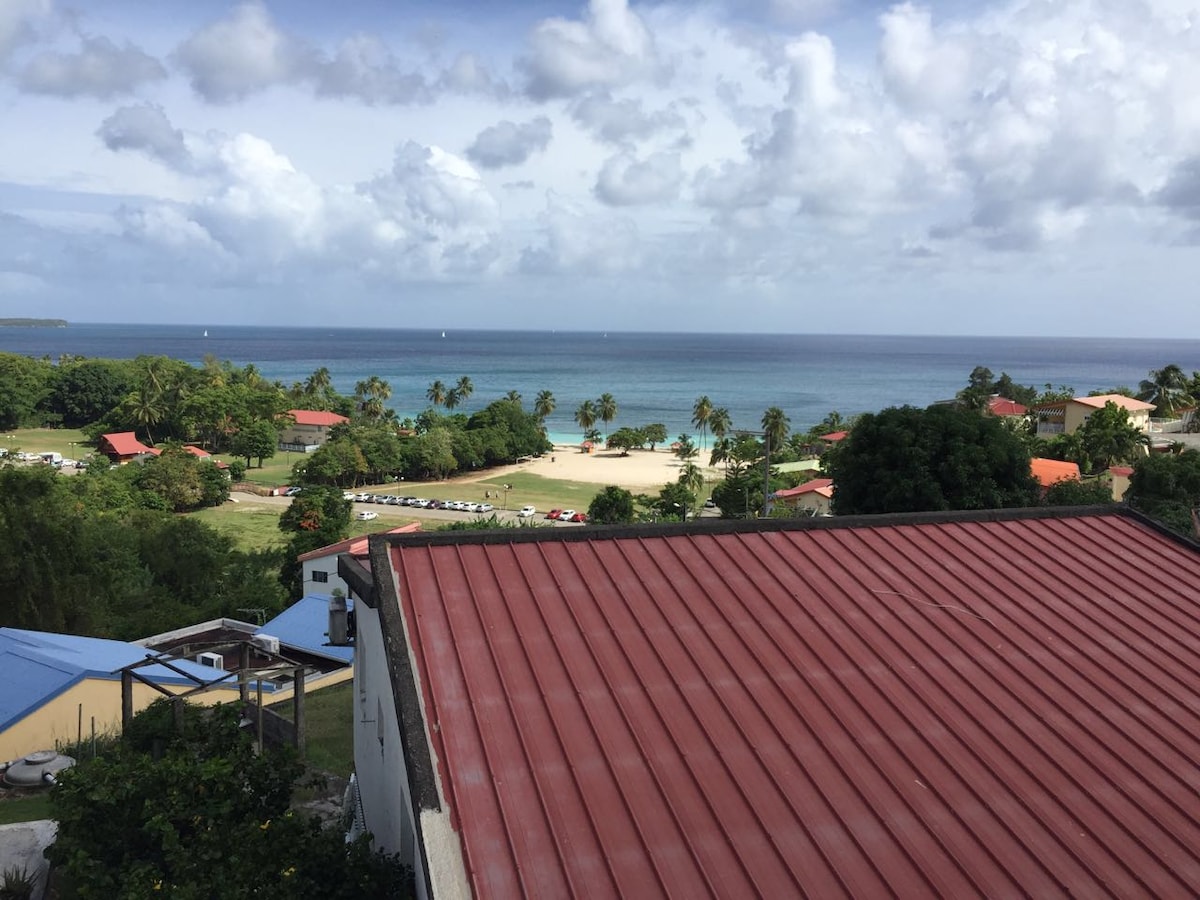 Anse Figuier全景