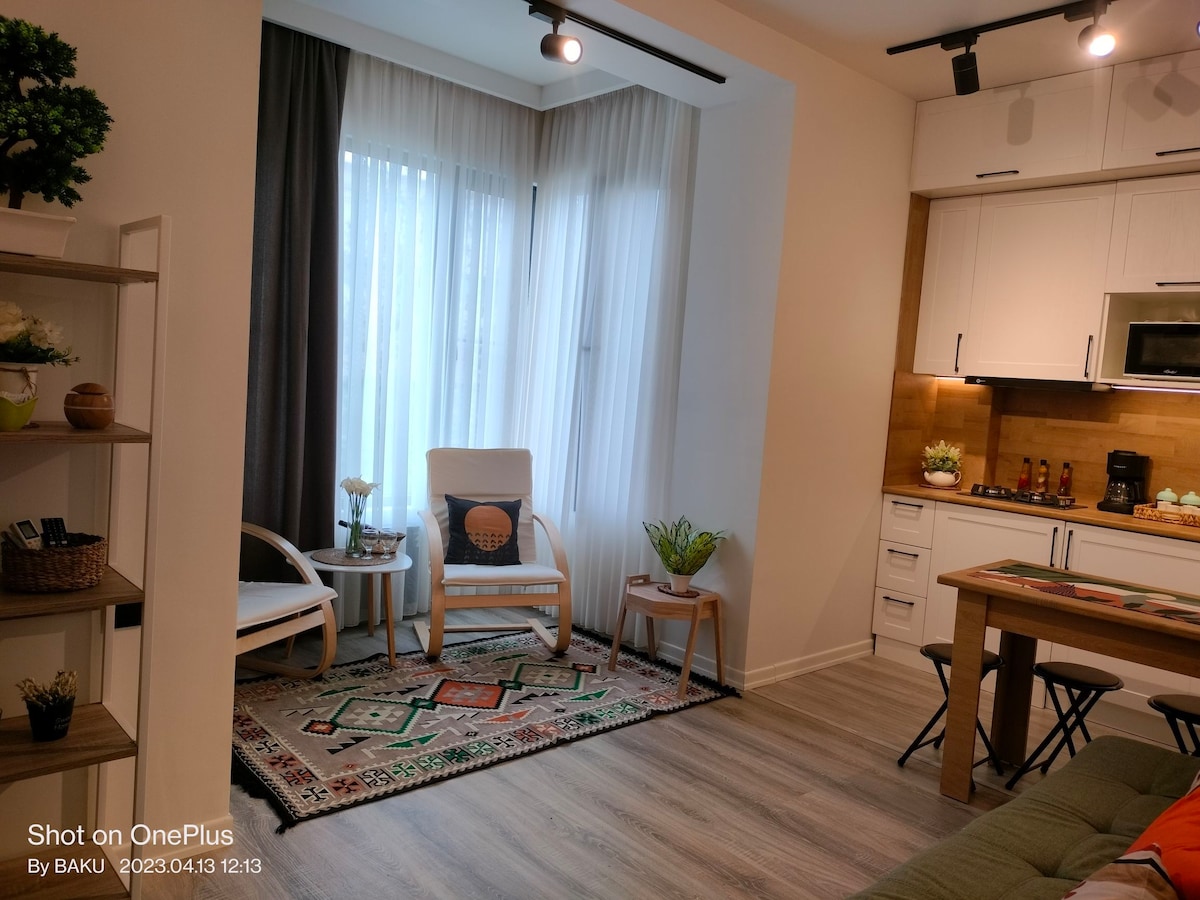 Уютная квартира в центре Баку