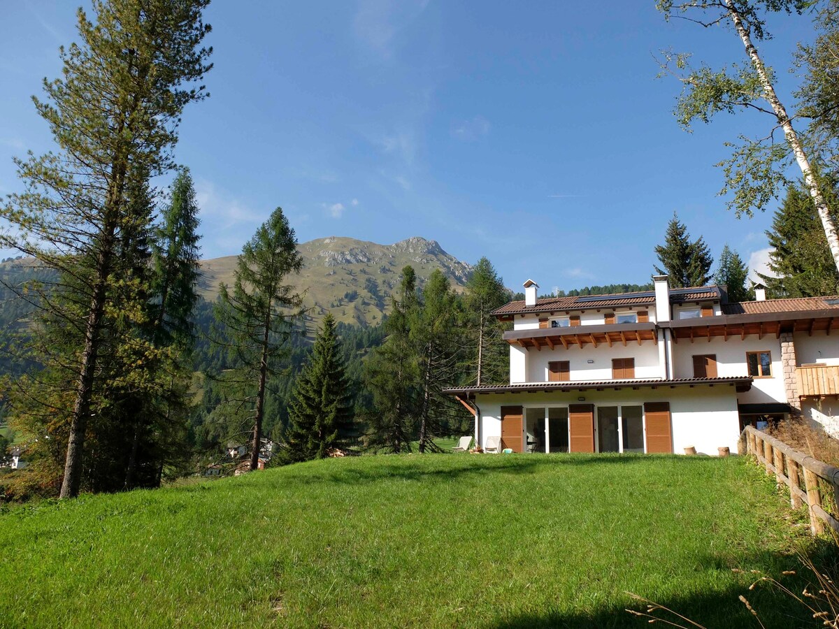 Dolomiti, mountainview apartment in Val di Fiemme