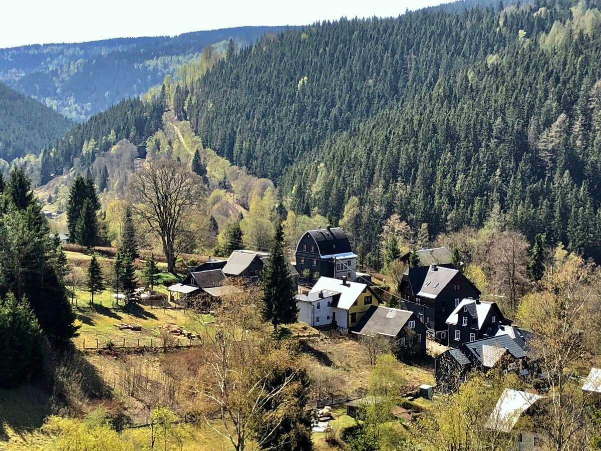 带壁炉的图林根森林舒适住宅