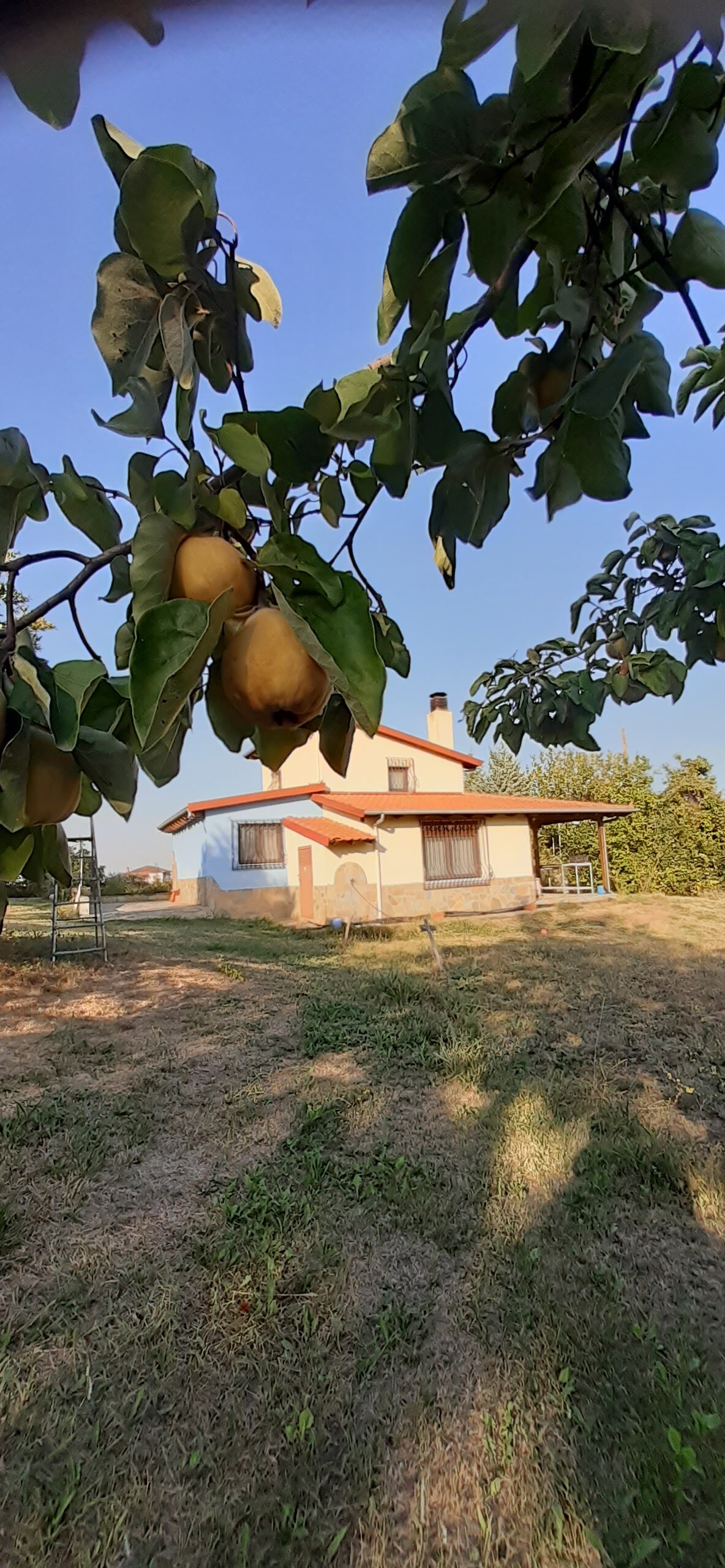 "草原上的小屋"