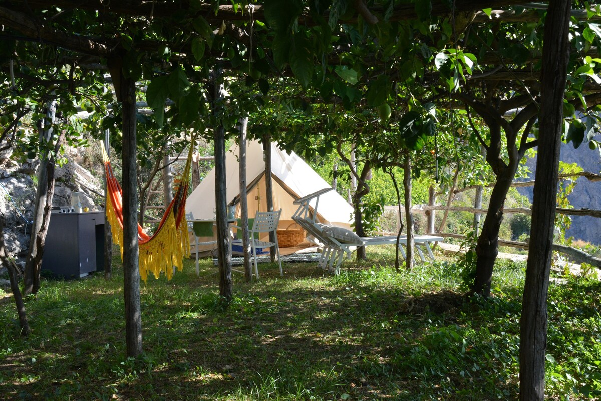 柠檬树林中的海景帐篷