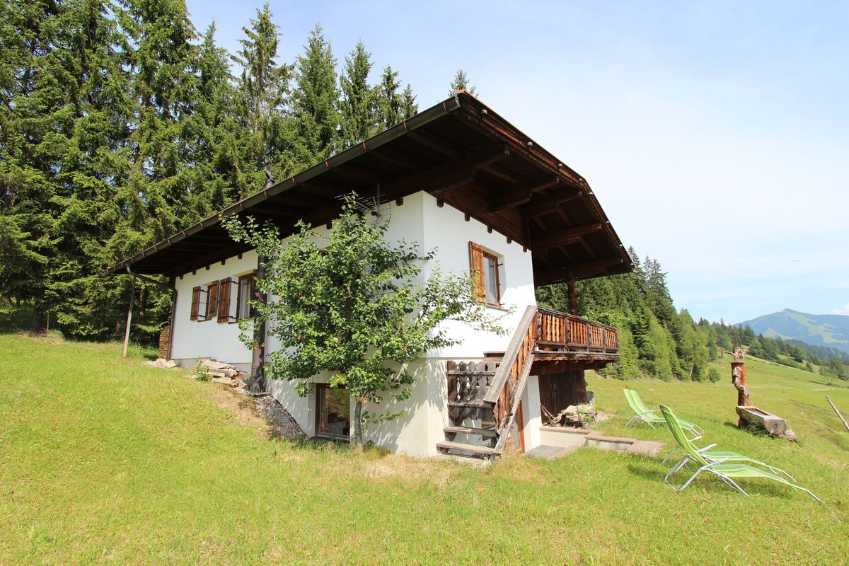 滑雪区Hopfgarten/Brixental的度假木屋