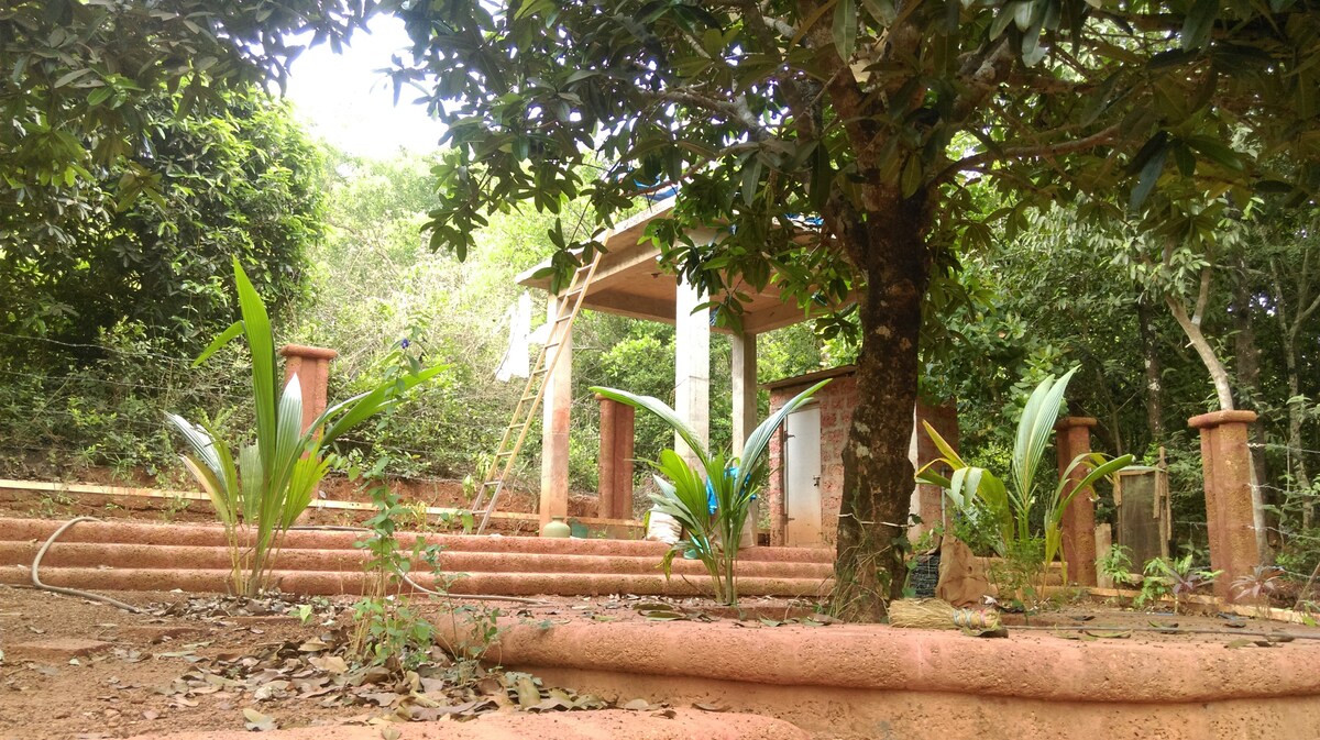 Padmashram - A Yogis Abode.