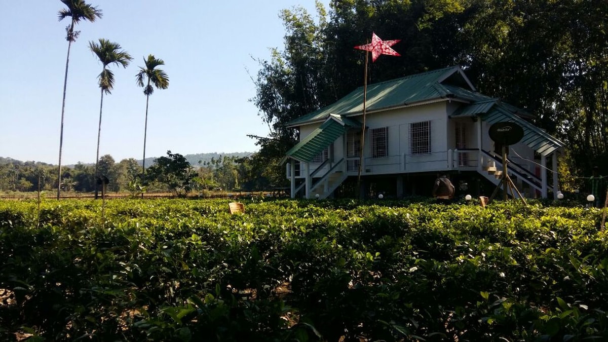 Chang Ghar ，靠近Kohora Safari Gate （ B区）