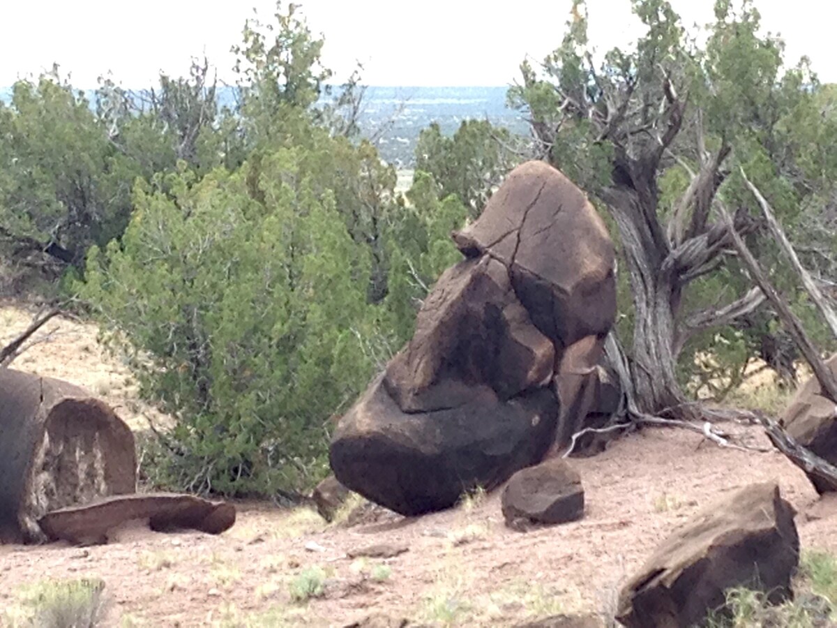 #PriusLife Campsite on Remote Wilderness Arizona