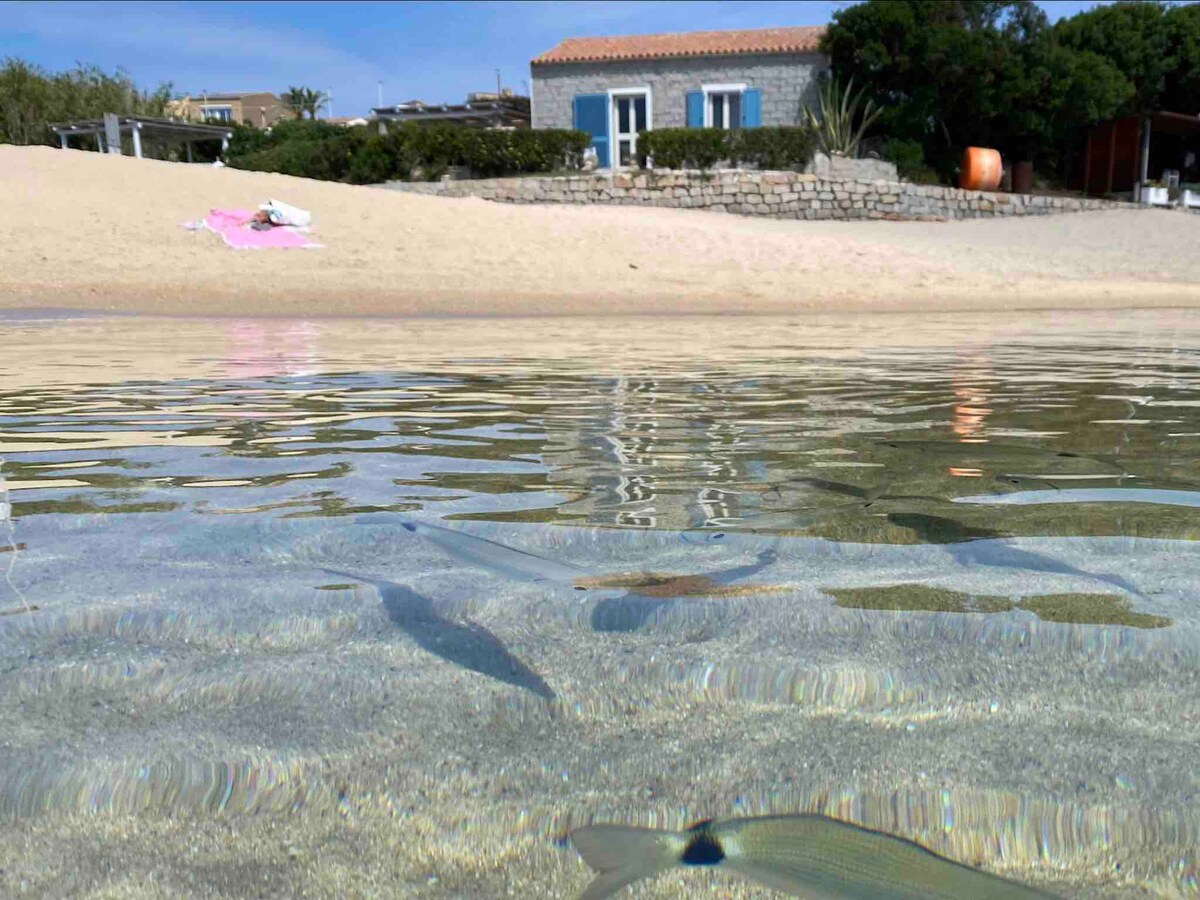 Santa Teresa Gallura Capo Testa  sulla spiaggia