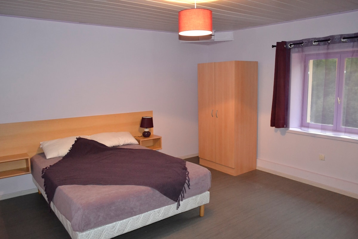 Chambre spacieuse avec SdB et Wc privatifs - 1