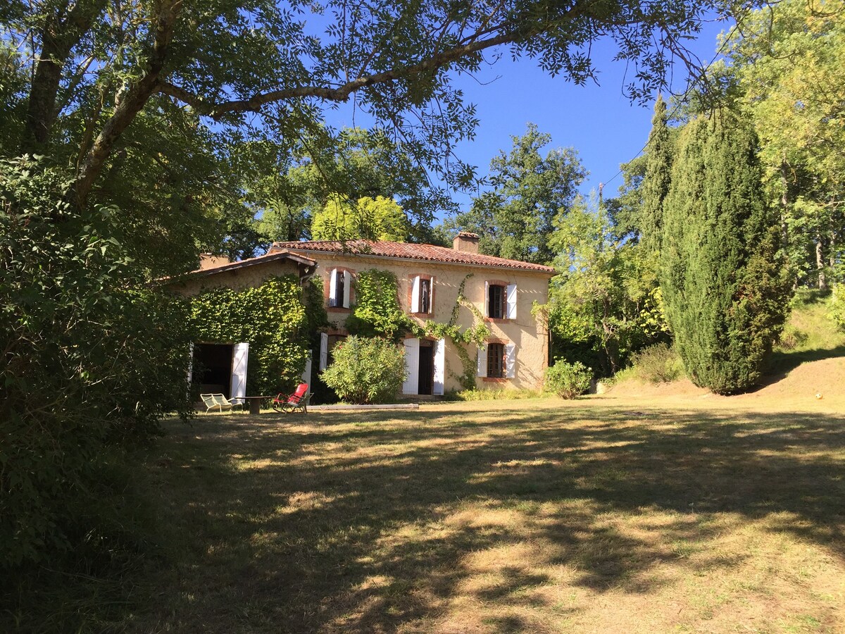 Large gascony property with swimming pool - Gers