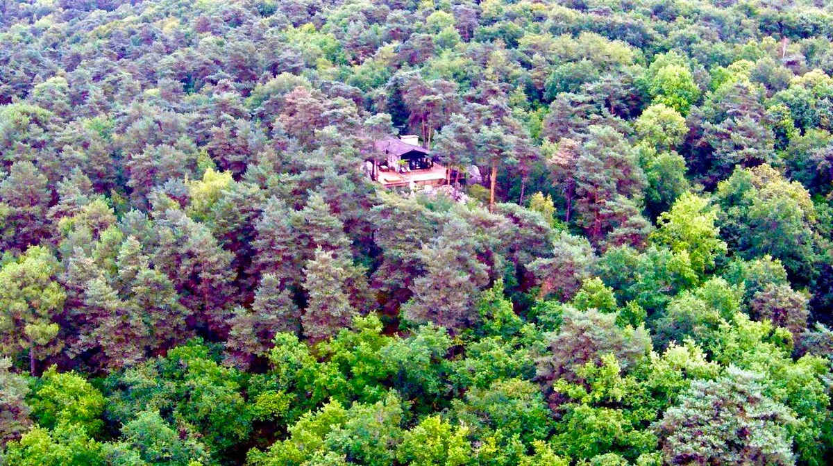 森林建筑师的房子，距离巴黎50公里