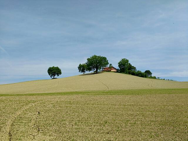 Pesaro and Urbino的民宿