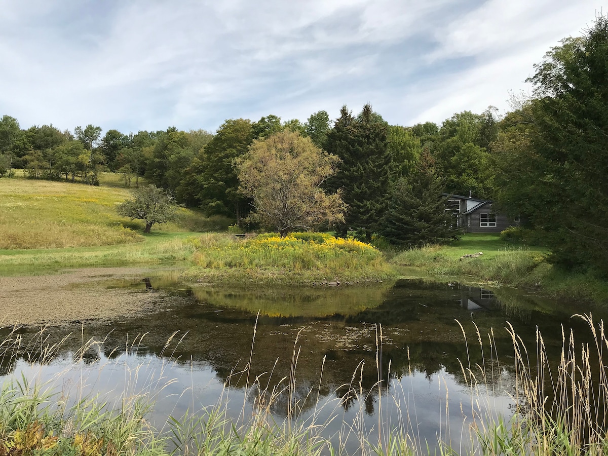 现代、光线充足的小木屋，可欣赏山景