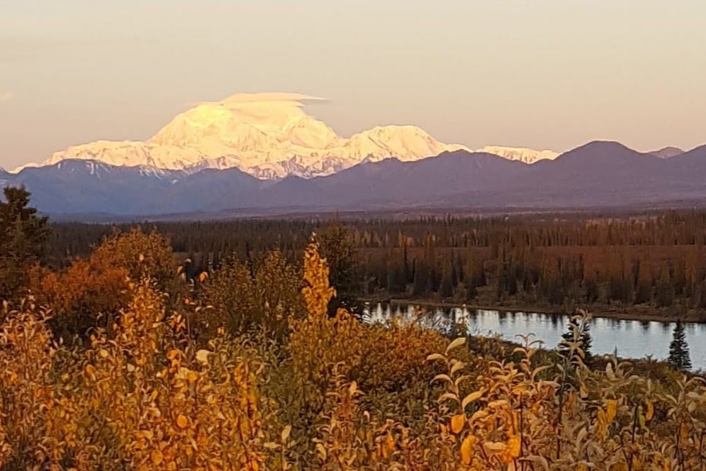 Denali Park Hideout