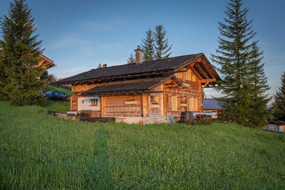 Chalet Bärgblüemli, Axalp ob Brienz BE (1554müM)