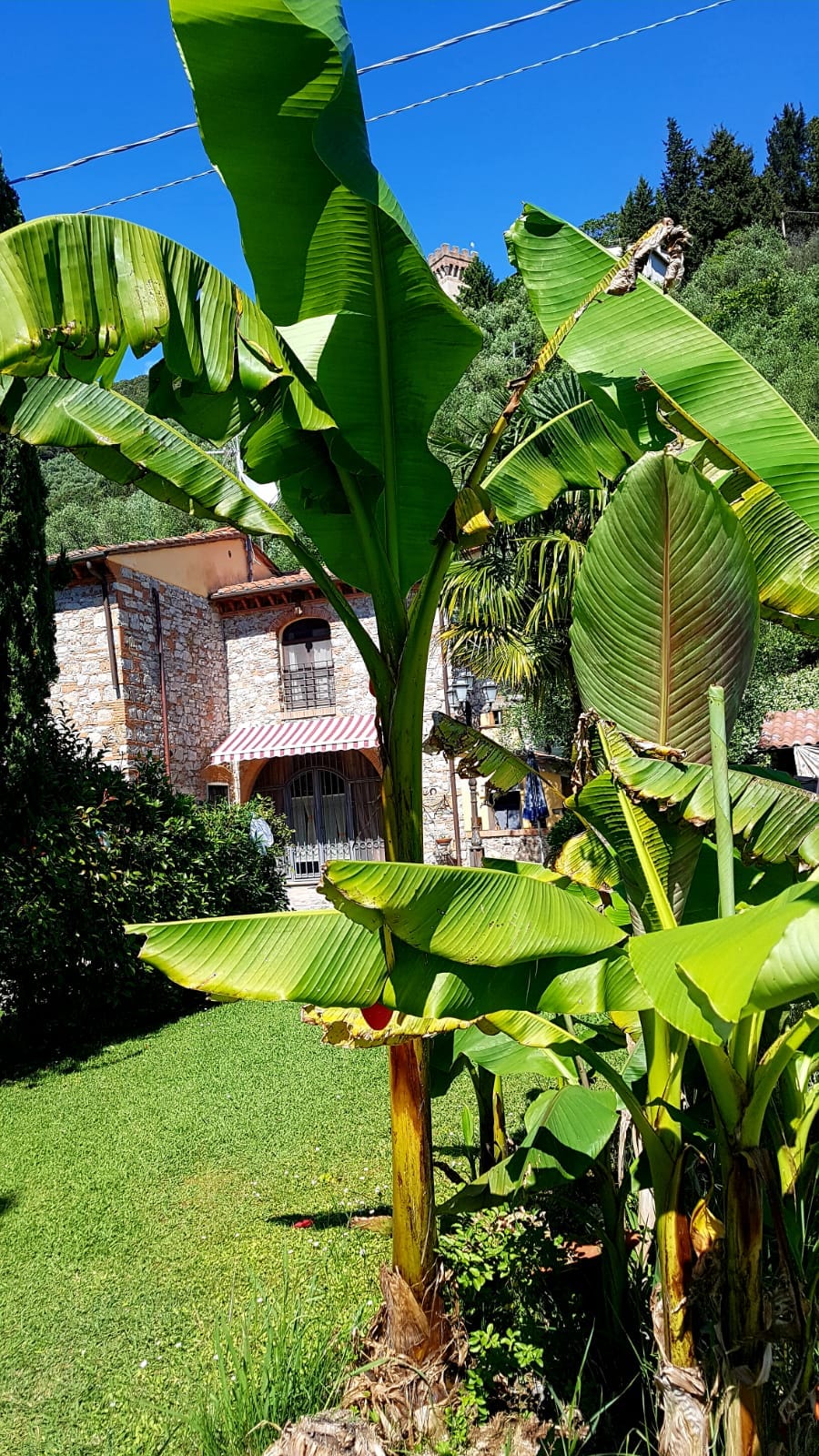 Casa Vacanze il ParaPendio