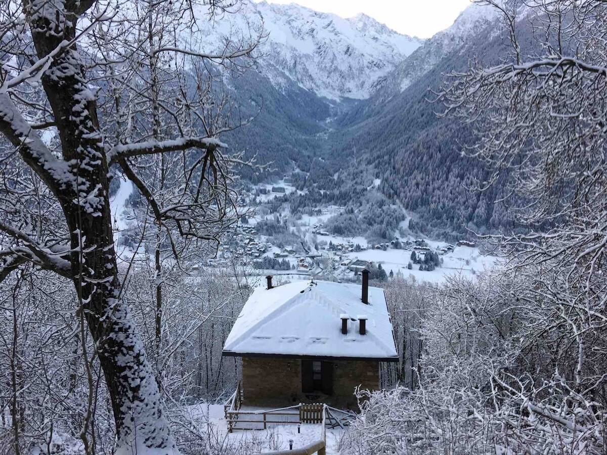 Baita nel bosco a Canè