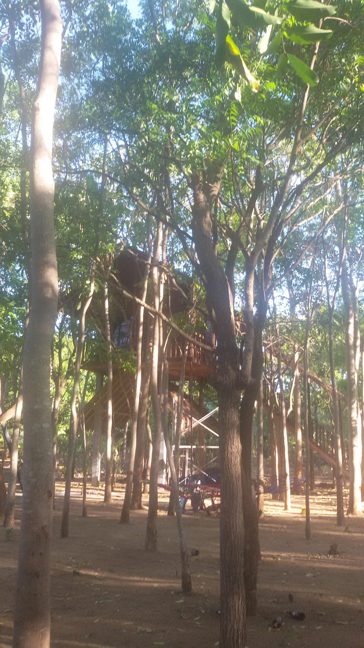 Sigiriya Elephant camping & camping