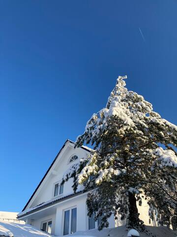 温特尔贝格 (Winterberg)的民宿