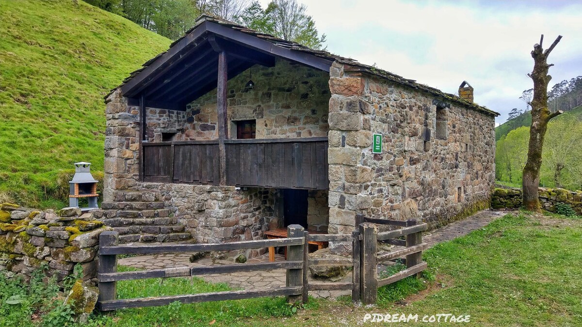 PiDREAM CoTTage. Cabaas de Pisueña