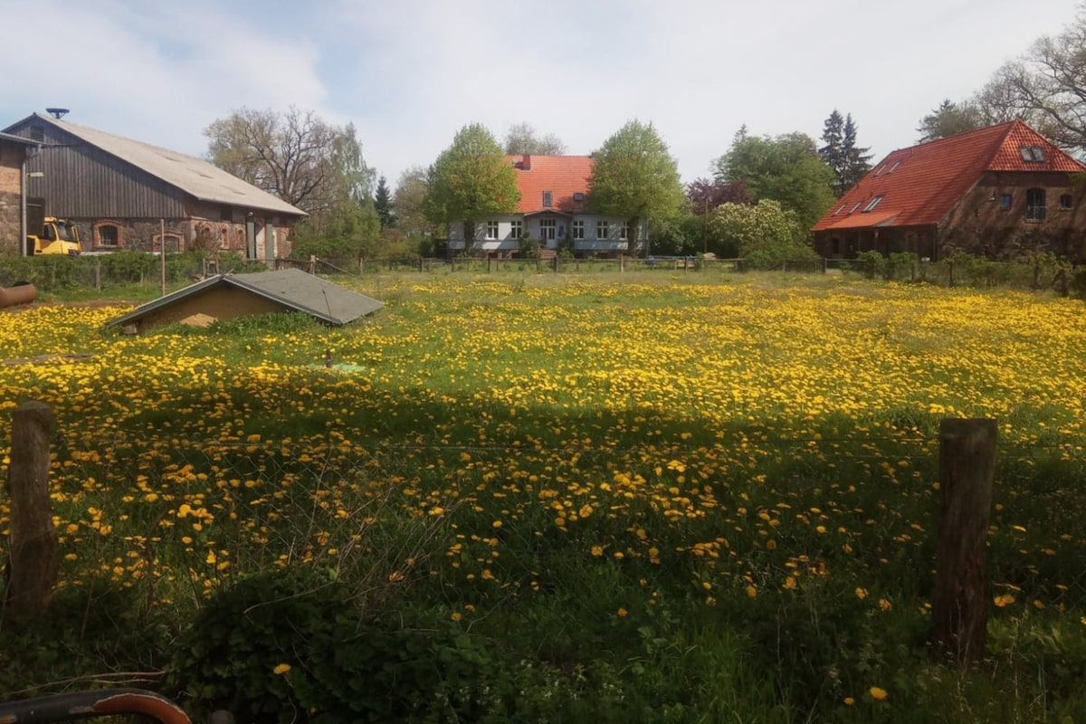 Bauernhof Kirchengut Strellin