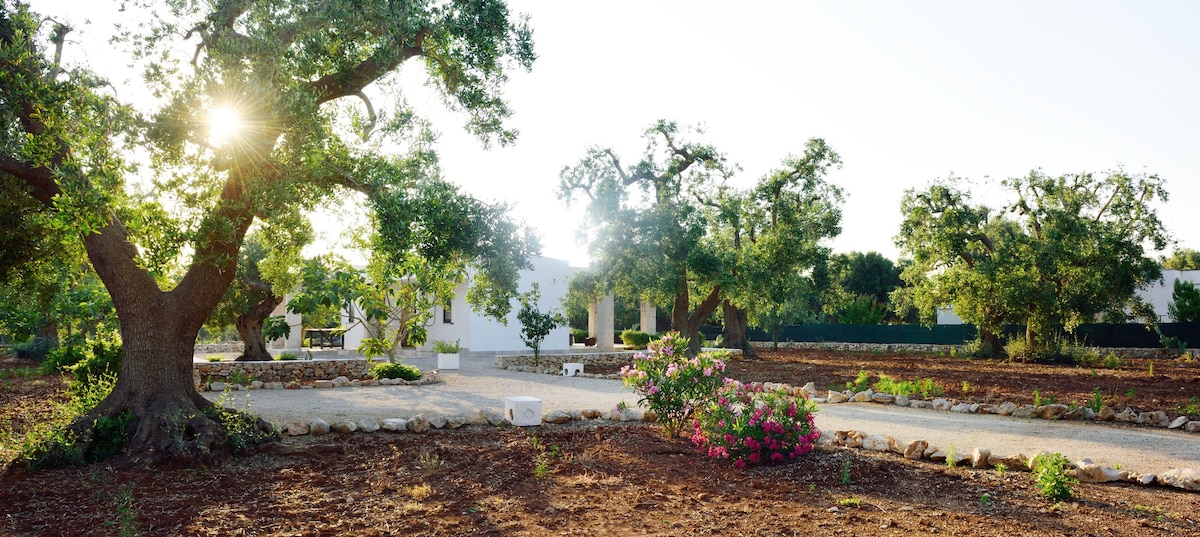 - LA CORTE DEI TRULLI- VILLA SALVIA(BR080012164)